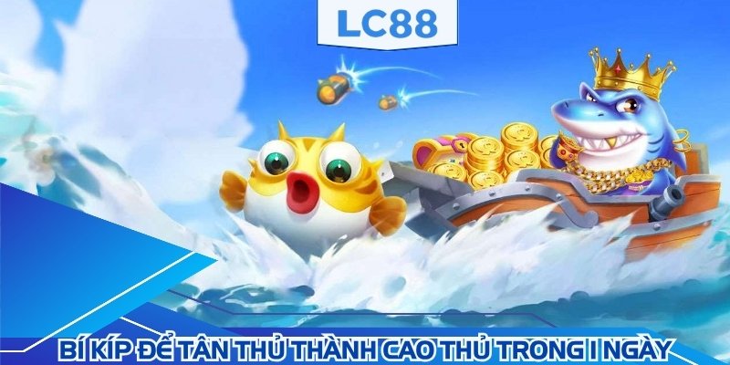 Bí kíp để tân thủ thành cao thủ trong 1 ngày