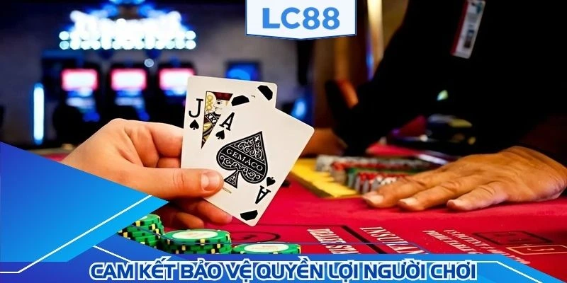 Cam kết tối đa về lợi ích của thành viên