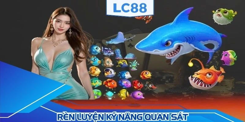 Tập luyện kỹ năng quan sát và tính kiên nhẫn